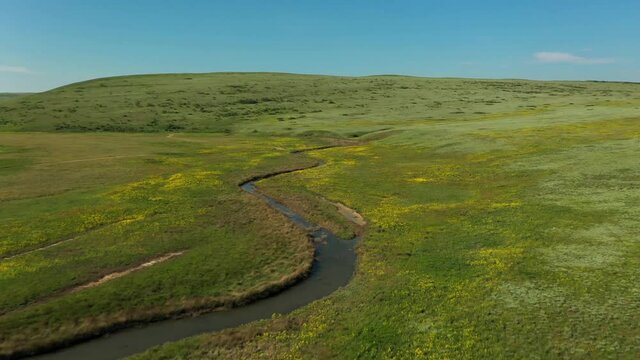 The green spring steppe aerial view. Clear blooming wild pasture land with flowers, grass and hills
