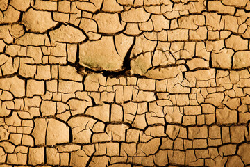 Close up weathered texture of arid cracked ground