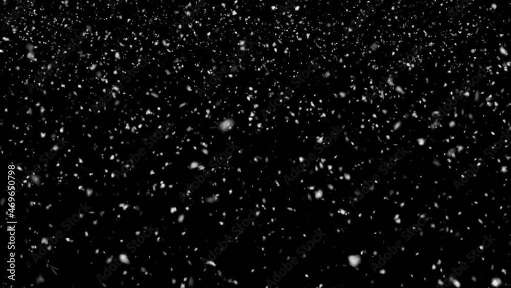 Wall mural natural falling snow, png codec with alpha channel - transparent background. seamless loop