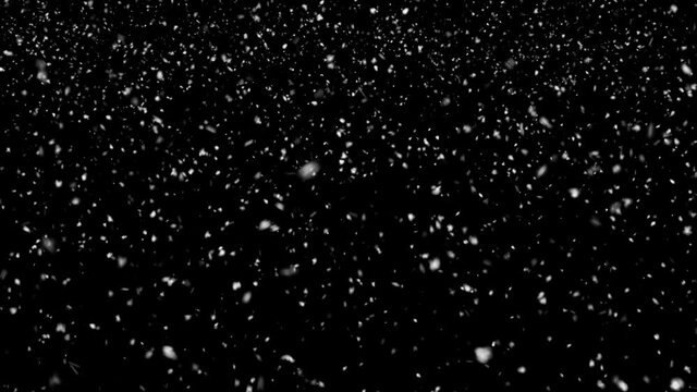 Natural falling snow, PNG codec with alpha channel - transparent background. Seamless loop