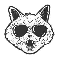 Cat head face sketch raster illustration