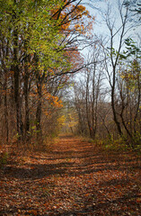 Naklejka na ściany i meble Autumn landscape with a pathway
