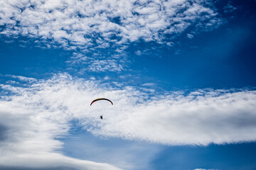 Paralotnia na niebieskim niebie - Paraglider in the blue sky - obrazy, fototapety, plakaty