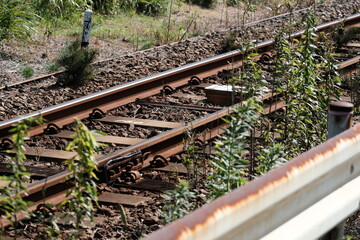 線路