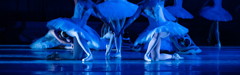 Swan Lake ballet. Ballerinas dancing © Ruslan