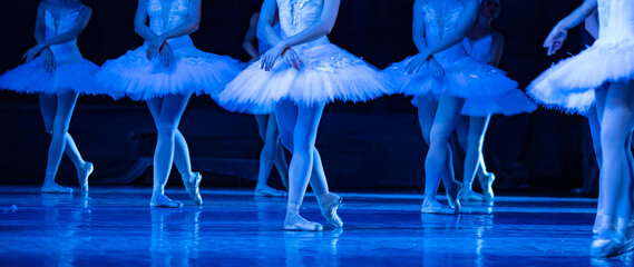 Swan Lake ballet. Ballerinas dancing