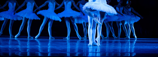 Swan Lake ballet. Ballerinas dancing