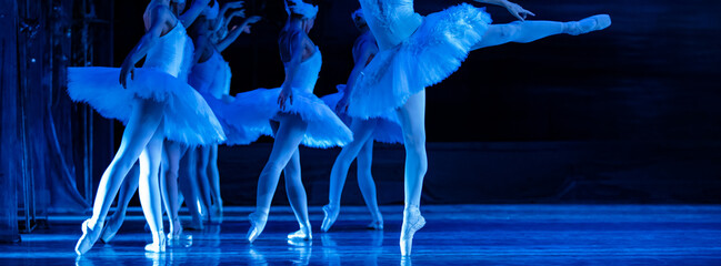 Swan Lake ballet. Ballerinas dancing