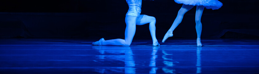 Fototapeta na wymiar Swan Lake ballet. Ballerinas dancing