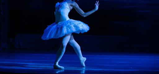 Fototapeta na wymiar Swan Lake ballet. Ballerinas dancing