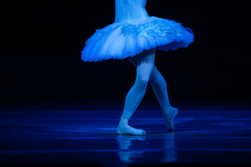 Swan Lake ballet. Ballerinas dancing