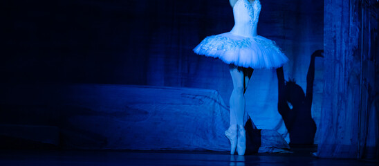 Swan Lake ballet. Ballerinas dancing