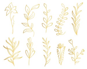 Fototapeta na wymiar Set of golden branches with leaves and flowers, isolated object. Collection of botanical graceful beautiful plants. Bundle floral and leafy elements for design and decor, vector illustration.