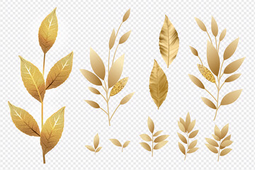 Set of golden laurel branches and leaves on transparent isolated illustration 