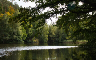 Lake surrounded by green trees on a fall day in the Palatinate forest of Germany.