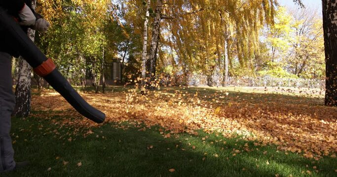 Gardeners remove fallen leaves for composting in the park.