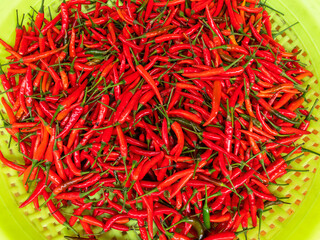 Naklejka premium Red hot chili peppers