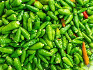  Green hot chili peppers