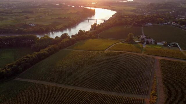 Aerial view Bordeaux Vineyard at sunrise,film by drone in autumn, Entre deux mers, Semens, Verdelais. High quality 4k footage