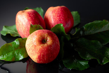 Fresh apples with drops of water on a black background.
