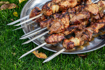 Traditional shashlik on a barbecue skewer on metal plate