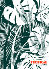Background with a monstera, banana leaf, and aloe. Illustration with tropical foliage. Graphic poster with leaves of exotic plants on for the travel industry, fashion label, beach collection. - 469664196