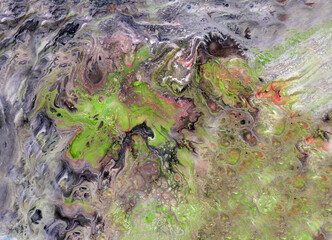 seaweed on the beach