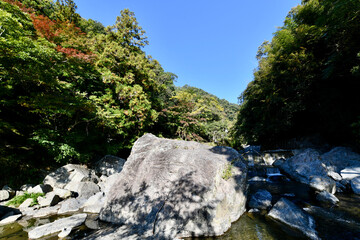 大阪の滝