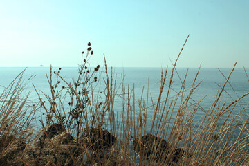 The horizon line, the sea merges with the sky. The grass dried by the bright summer sun on the...