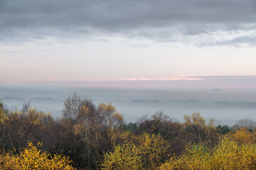 Golden autumnal fall tree and leaf colours at the Downs Banks, Barlaston in Staffordshire.
