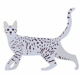 Fototapeta na wymiar cat in flat style vector, isolated