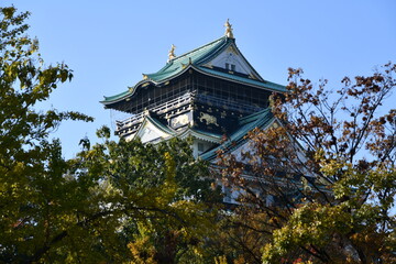 紅葉の大阪城