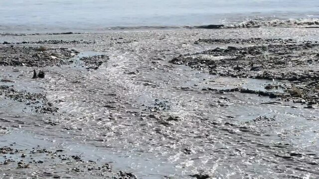 river of mud and water rushes towards the sea after intersting rains