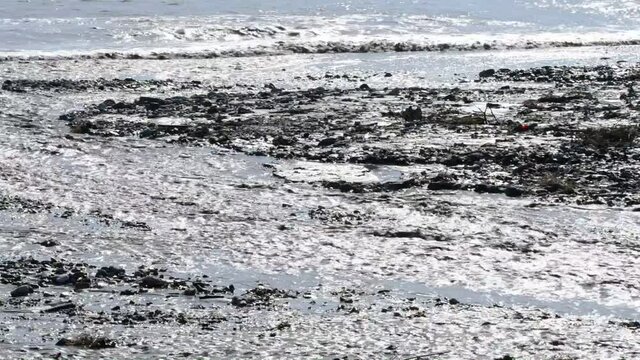 river of mud and water rushes towards the sea after intersting rains