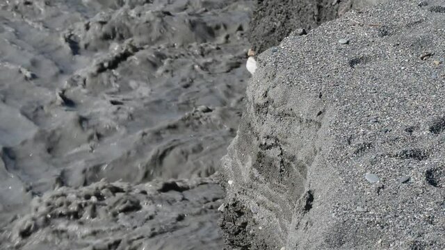 river of mud and water rushes towards the sea after intersting rains