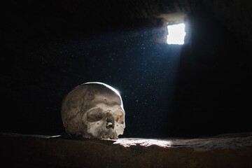 Human skull in the scary underground, spooky old castle cellar