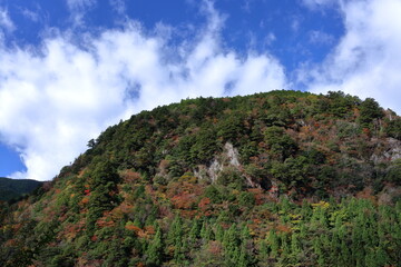 秋を迎える山　大荒の滝もみじ峡　（高知県　香美市）