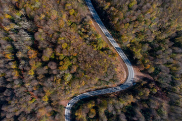 wonderful colors of autumn a forest road