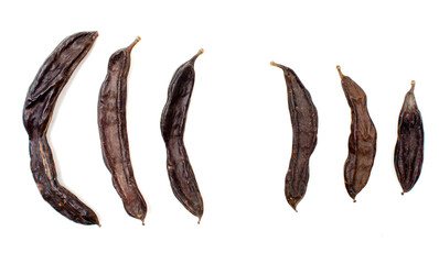 Carob pods lined on white.