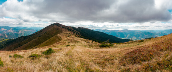 carpathian mountain landscape in early autumn. colorful scenery of mt. strymba, ukraine. svydovets...
