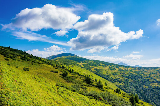 hills of the petros mountain in summer. wonderful nature scenery of carpathians on a sunny day