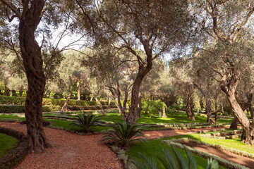 The majestic  beauty of the Bahai Garden, located on Mount Carmel in the city of Haifa, in northern Israel