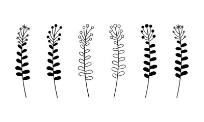 Dandelion lineart vector botanical illustration. Leaf and Flower hand drawn set. Forest greenery background