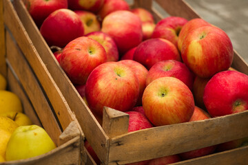 Ripe red apples in a basket
