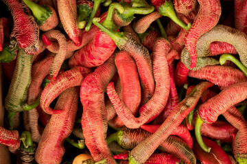 Red and green hot chili peppers
