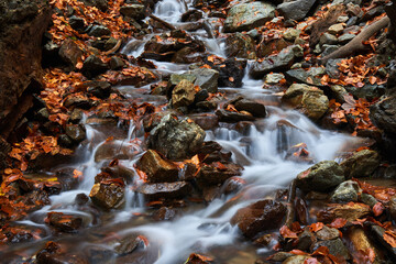 Autumn landscape with river rapids
