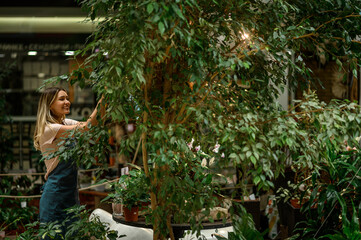 Florist taking care of a plant while using pruning shears