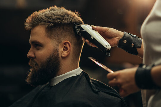 Young bearded man getting haircut by hairdresser