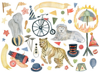 Vintage circus, elephant, lion, tiger. Watercolor illustration