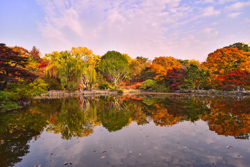 창경궁 춘당지 연못의 가을